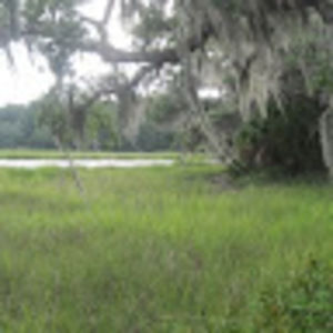 Meet your Posher, Nichole